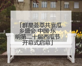 群星荟萃共襄瓜乡盛会 中国·东明第二十届西瓜节开幕式启幕