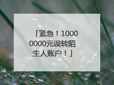 紧急！10000000元误转陌生人账户！