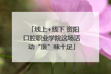 线上+线下 资阳口腔职业学院这场活动“廉”味十足
