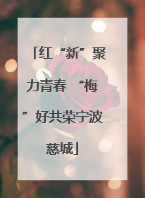 红“新”聚力青春 “梅”好共荣宁波慈城
