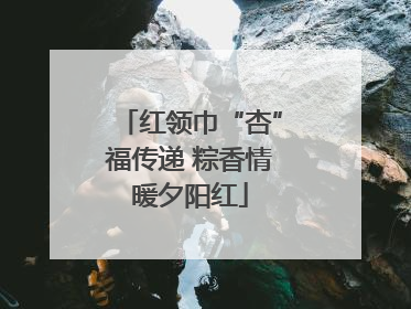 红领巾“杏”福传递 粽香情暖夕阳红