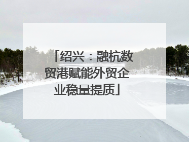 绍兴：融杭数贸港赋能外贸企业稳量提质