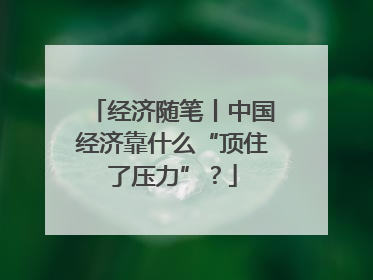经济随笔丨中国经济靠什么“顶住了压力”？