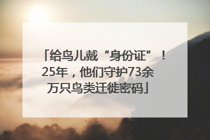 给鸟儿戴“身份证”！25年，他们守护73余万只鸟类迁徙密码