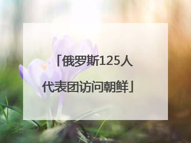 俄罗斯125人代表团访问朝鲜