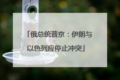 俄总统普京：伊朗与以色列应停止冲突