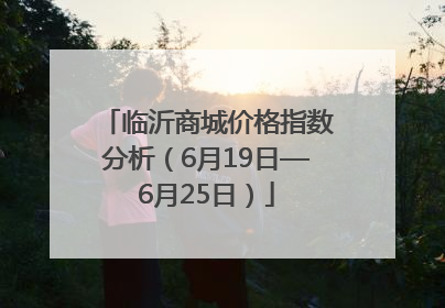临沂商城价格指数分析（6月19日—6月25日）