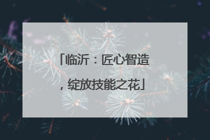 临沂：匠心智造，绽放技能之花