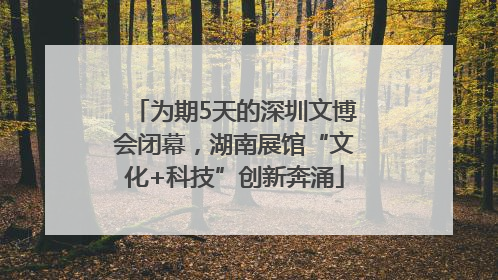 为期5天的深圳文博会闭幕，湖南展馆“文化+科技”创新奔涌