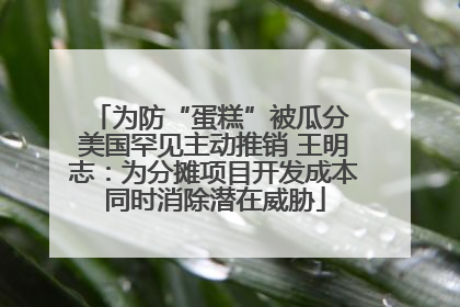 为防“蛋糕”被瓜分 美国罕见主动推销 王明志：为分摊项目开发成本同时消除潜在威胁
