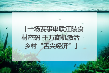 一场赛事串联江陵食材密码 千万商机激活乡村“舌尖经济”