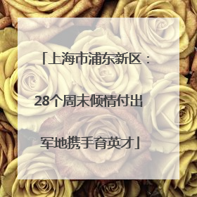 上海市浦东新区：28个周末倾情付出 军地携手育英才