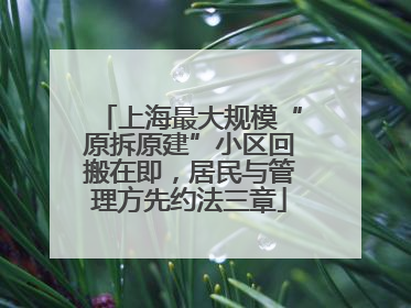 上海最大规模“原拆原建”小区回搬在即，居民与管理方先约法三章