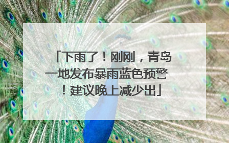下雨了！刚刚，青岛一地发布暴雨蓝色预警！建议晚上减少出