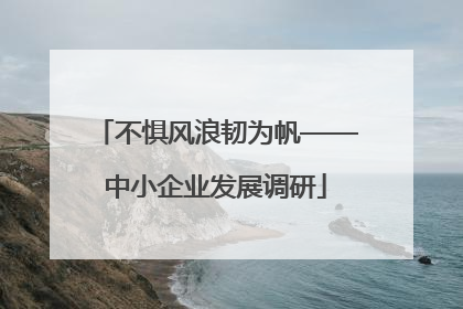 不惧风浪韧为帆——中小企业发展调研