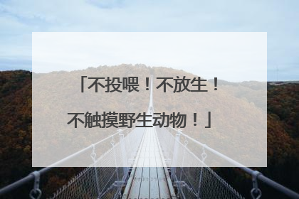 不投喂！不放生！不触摸野生动物！