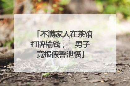 不满家人在茶馆打牌输钱，一男子竟报假警泄愤