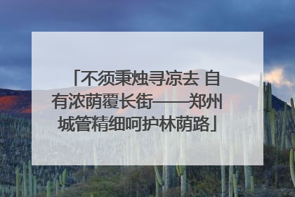 不须秉烛寻凉去 自有浓荫覆长街——郑州城管精细呵护林荫路