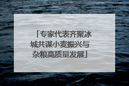 专家代表齐聚冰城共谋小麦振兴与杂粮高质量发展