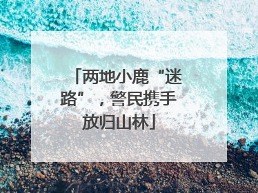 两地小鹿“迷路”，警民携手放归山林