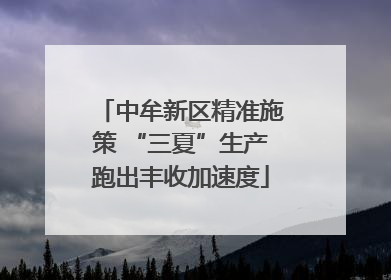 中牟新区精准施策 “三夏”生产跑出丰收加速度