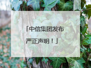 中信集团发布严正声明！