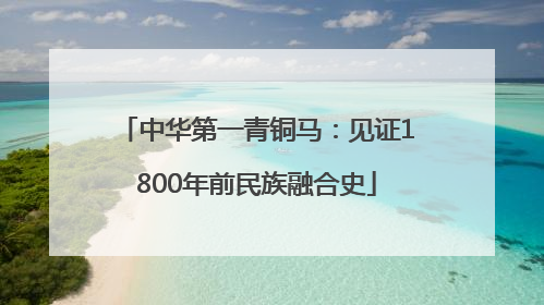 中华第一青铜马：见证1800年前民族融合史