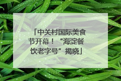 中关村国际美食节开幕！“海淀餐饮老字号”揭晓