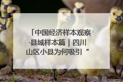 中国经济样本观察·县域样本篇｜四川山区小县为何吸引“村播”扎堆？