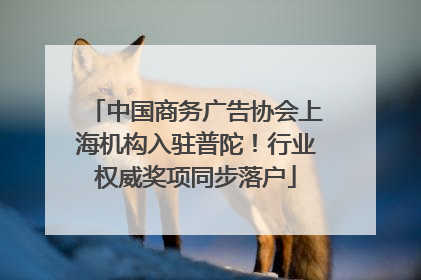 中国商务广告协会上海机构入驻普陀！行业权威奖项同步落户