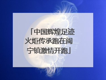 中国辉煌足迹火炬传承跑在闽宁镇激情开跑