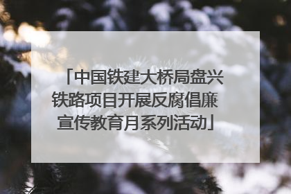 中国铁建大桥局盘兴铁路项目开展反腐倡廉宣传教育月系列活动