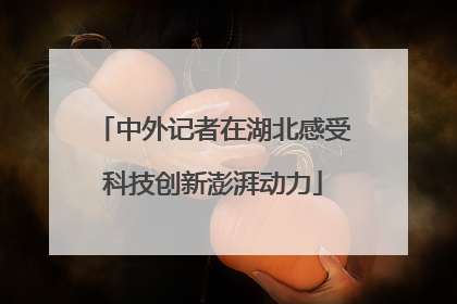 中外记者在湖北感受科技创新澎湃动力