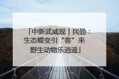 中新武威观｜民勤：生态蝶变引“客”来 野生动物乐逍遥