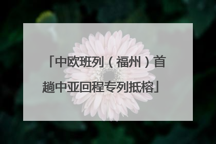中欧班列（福州）首趟中亚回程专列抵榕