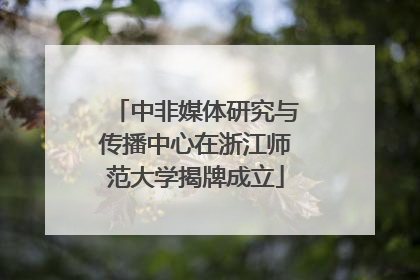 中非媒体研究与传播中心在浙江师范大学揭牌成立