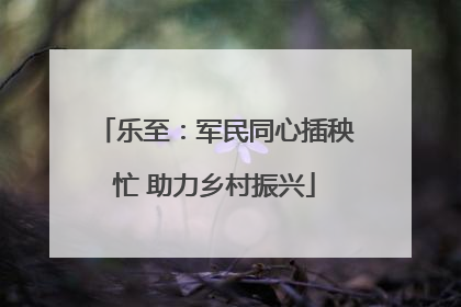 乐至：军民同心插秧忙 助力乡村振兴