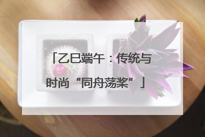 乙巳端午：传统与时尚“同舟荡桨”