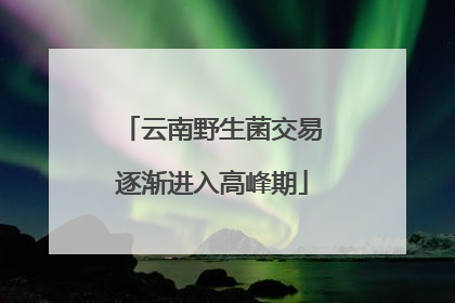 云南野生菌交易逐渐进入高峰期
