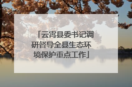 云霄县委书记调研督导全县生态环境保护重点工作