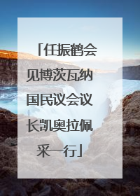 任振鹤会见博茨瓦纳国民议会议长凯奥拉佩采一行