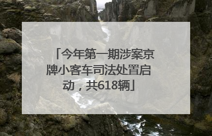 今年第一期涉案京牌小客车司法处置启动，共618辆