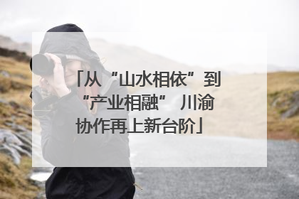 从“山水相依”到“产业相融” 川渝协作再上新台阶