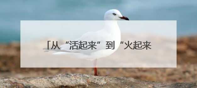 从“活起来”到“火起来” 非遗+文旅如何戳中人心？｜文旅融合看四川