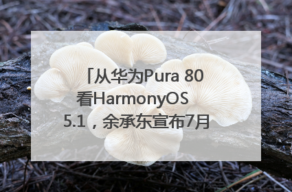从华为Pura 80看HarmonyOS 5.1，余承东宣布7月迎来首批机型升级
