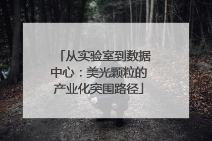 从实验室到数据中心：美光颗粒的产业化突围路径