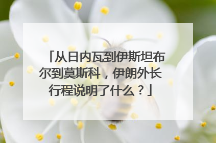 从日内瓦到伊斯坦布尔到莫斯科，伊朗外长行程说明了什么？