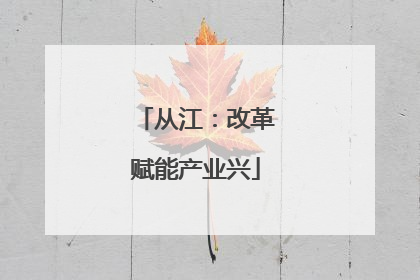 从江：改革赋能产业兴