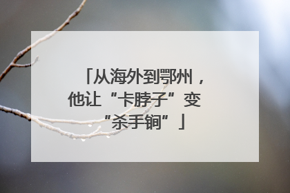 从海外到鄂州，他让“卡脖子”变“杀手锏”