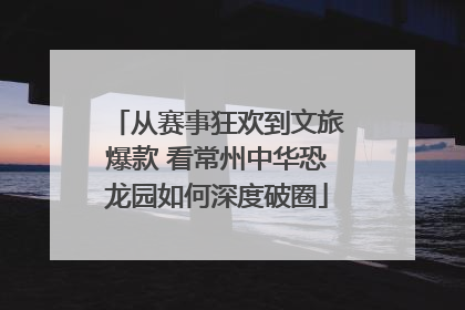 从赛事狂欢到文旅爆款 看常州中华恐龙园如何深度破圈